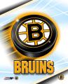 puckboston.jpg